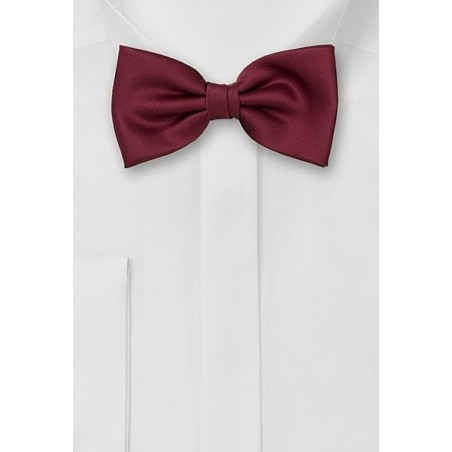 Bow Tie in Burgundy Color