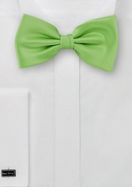 Bow ties  -  Solid apple green men's bow tie