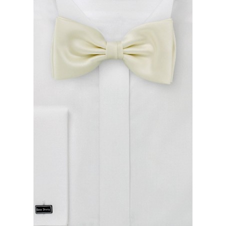 Bow tie  -  Pretied bowtie in light yellow