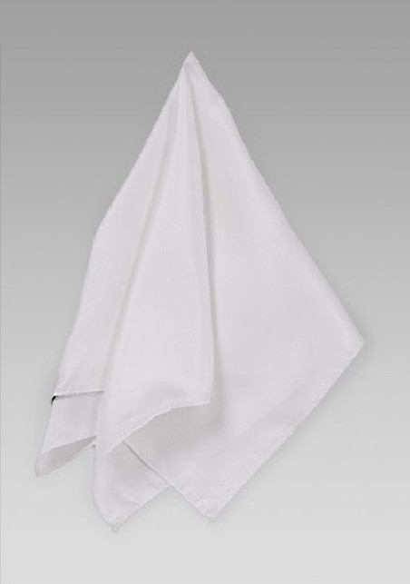 Silk Women's Scarf in White