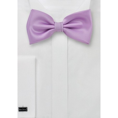 Lavender Bow Tie
