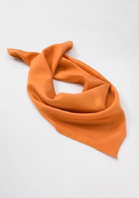 Bright Pumpkin Orange Silk Scarf