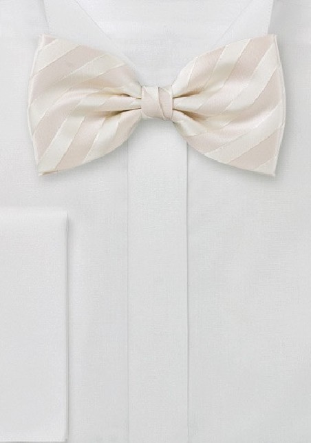 Striped Bow Tie in Cream Color