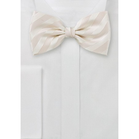 Striped Bow Tie in Cream Color