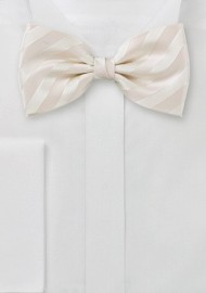 Striped Bow Tie in Cream Color