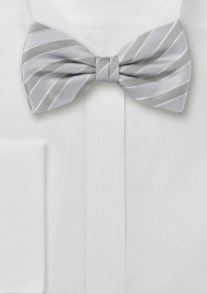 Silver Striped Bow Tie
