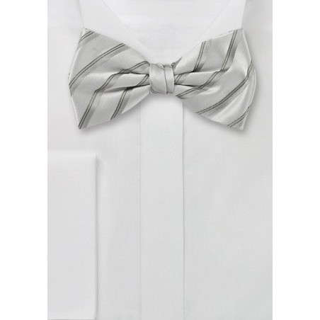 Silver Gray Striped Bow Tie