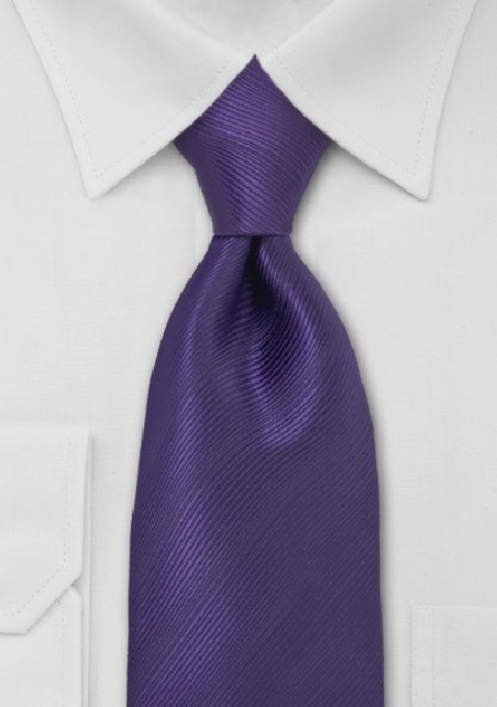 Bright Eggplant Purple Tie