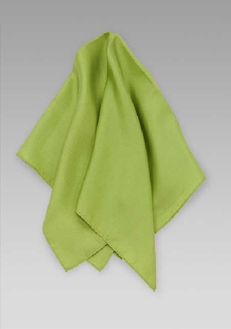 Solid Sage Green Womens Silk Scarf