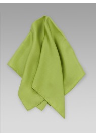 Solid Sage Green Womens Silk Scarf