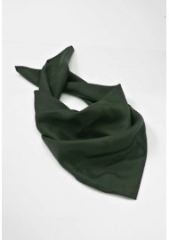 Dark Green Women's Silk Scarf