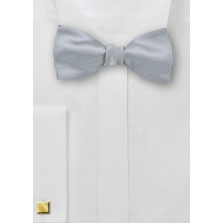 Formal Silver Self Tied Bow Tie