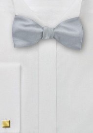 Formal Silver Self Tied Bow Tie