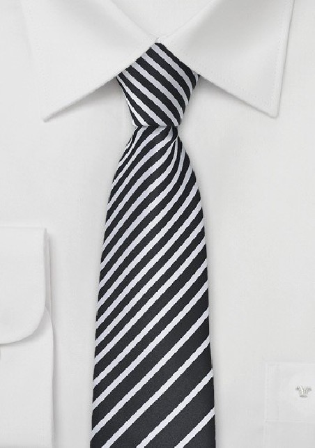 Striped Skinny Tie in Black and White
