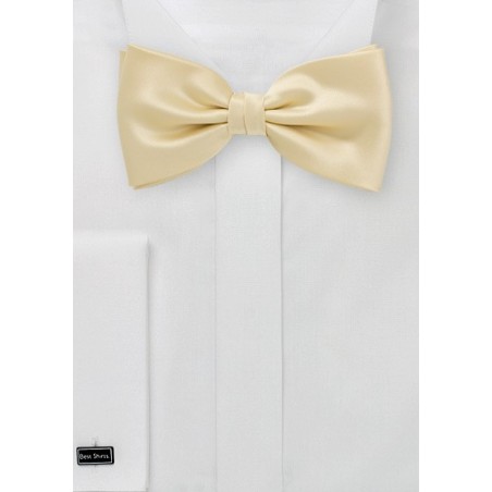 Elegant Champagne Bow Tie