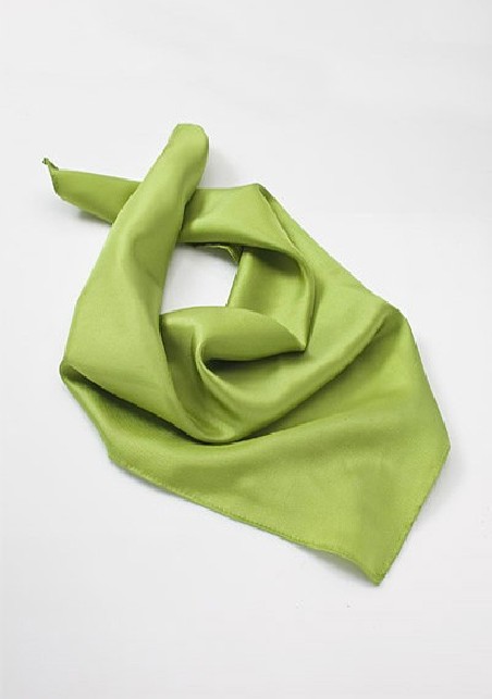 Apple Green Womens Scarf