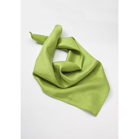 Apple Green Womens Scarf