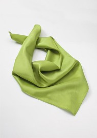Apple Green Womens Scarf