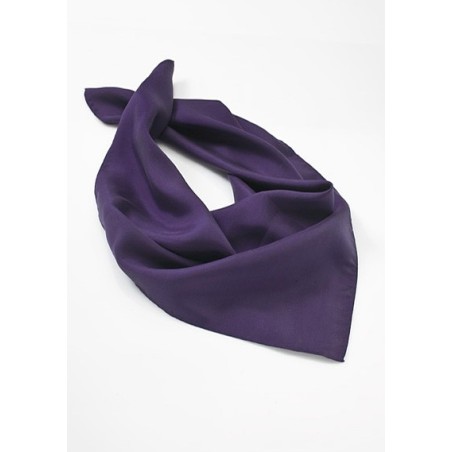 Solid Purple Womens Scarf
