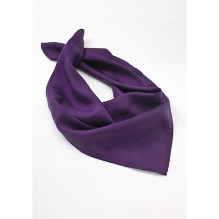 Bright Purple Womens Scarf