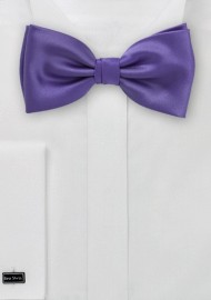 Solid Purple Bow Tie