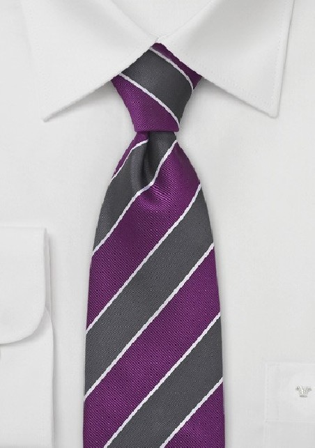 Wide Striped Tie in Purple and Grey