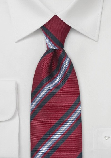 Scholarly Tie in Crimson and Blue