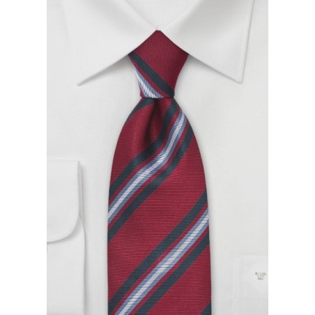 Scholarly Tie in Crimson and Blue