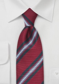 Scholarly Tie in Crimson and Blue