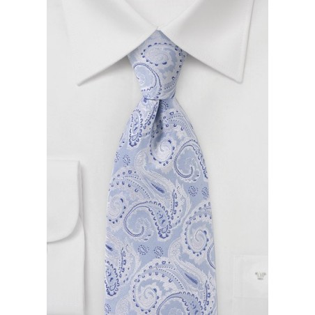 Elegant Blue and Silver Paisley Tie