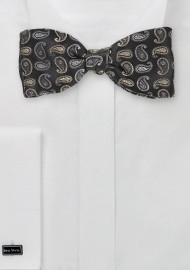 Mini Scant Paisley Bowtie in Black