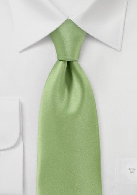 Solid Color Tie in Celery Green