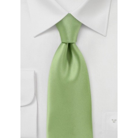 Solid Color Tie in Celery Green