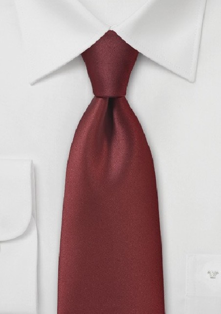 Solid Colored Tie in Brisbane Bronze