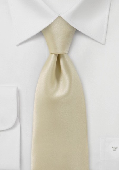 Solid Hued Tie in Champagne