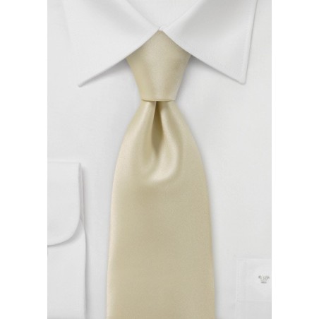 Solid Hued Tie in Champagne