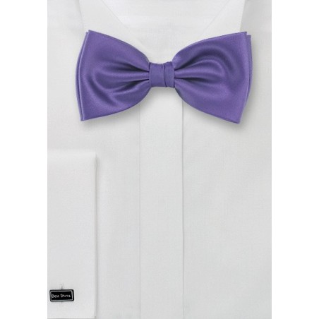 Rich Lilac Colored Bow Tie