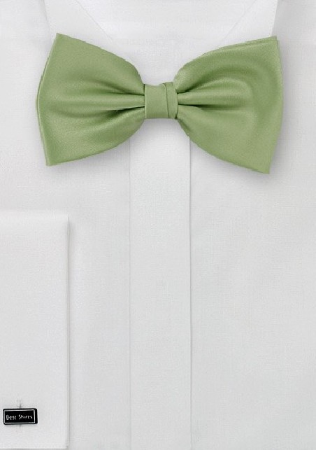 Light Clover Colored Bow Tie