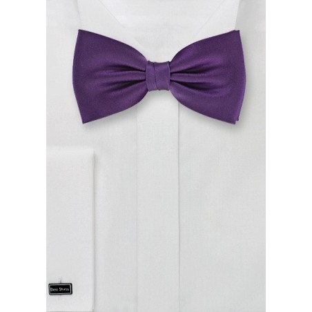 Classic Purple Bow Tie