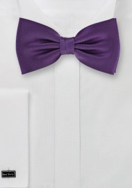 Classic Purple Bow Tie