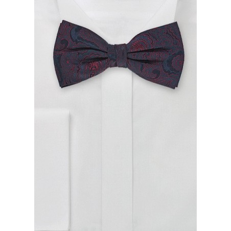 Silk Bow Tie in Paisley