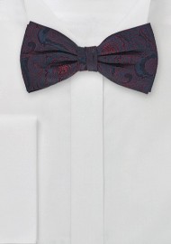 Silk Bow Tie in Paisley
