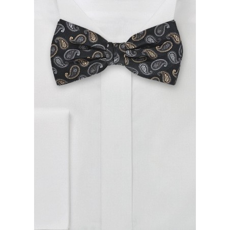 Modern Paisley Design in Golds and Silvers