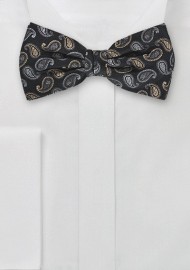 Modern Paisley Design in Golds and Silvers