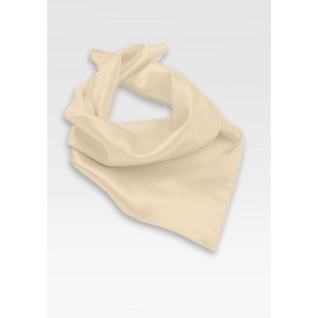 Elegant Cream Colored Neck Scarf