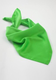 Women's Scarf in Kelly Green