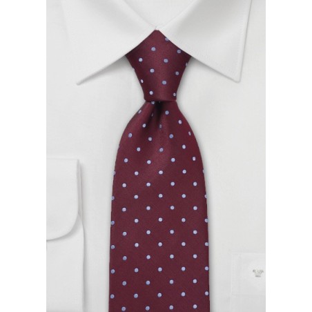 Kids Polka Dot Tie in Burgundy and Blue