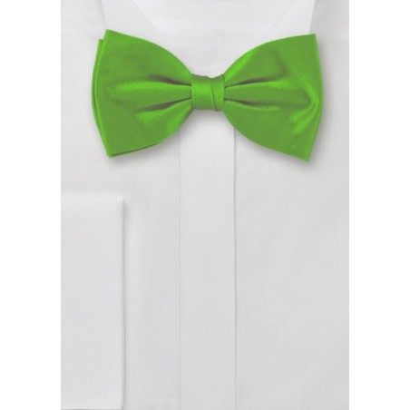 Bright Green Pre-Tied Bow Tie