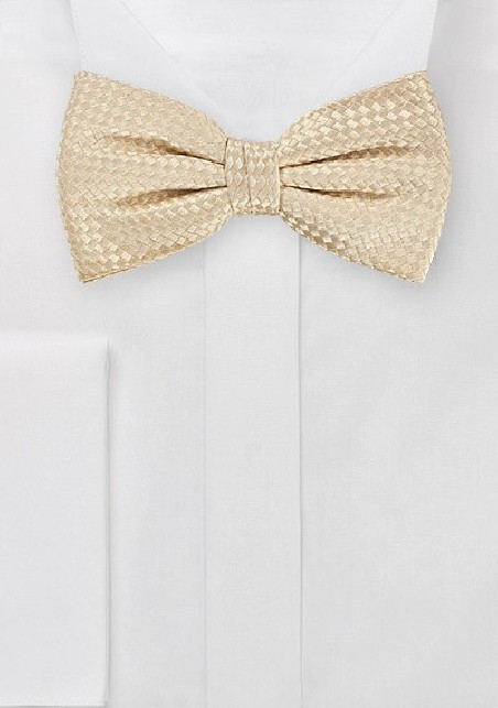 Pre-Tied Bowtie in Soft Champange