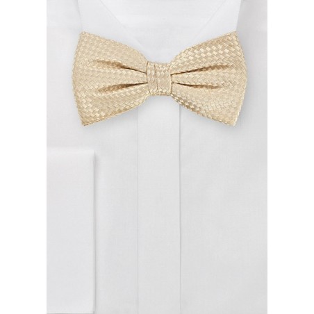 Pre-Tied Bowtie in Soft Champange